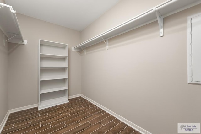 spacious closet featuring dark hardwood / wood-style floors