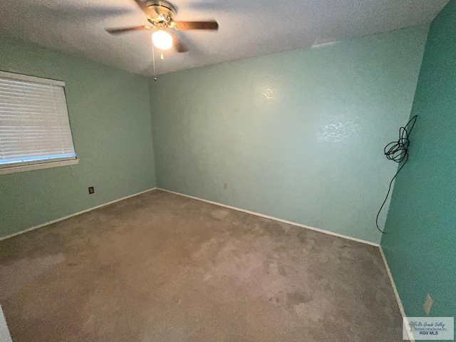 1834 Cherry Ct, Harlingen, TX 78552 - photo 28