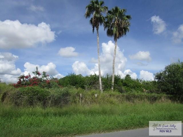 TBD Chester Park Rd, Harlingen, TX 78552 - photo 7