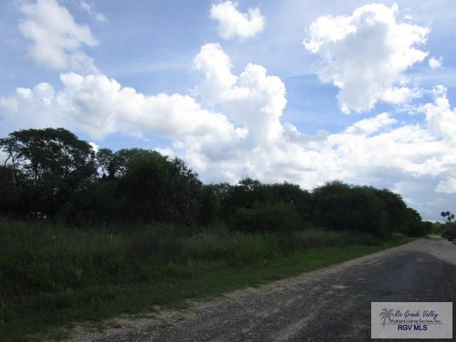 TBD Chester Park Rd, Harlingen, TX 78552 - photo 10