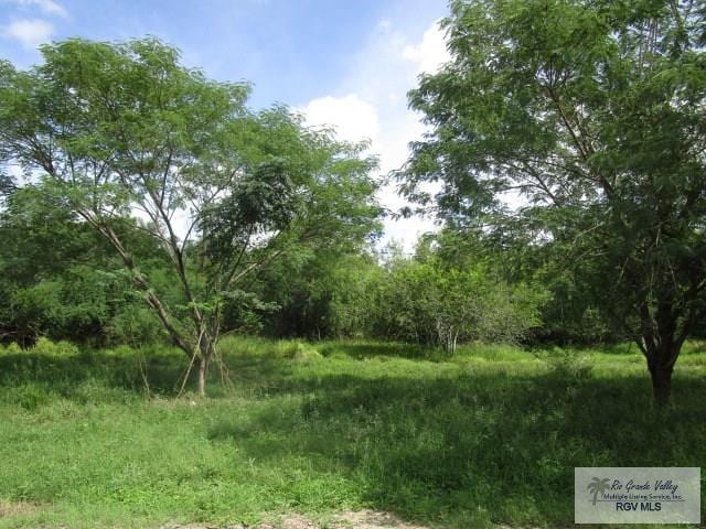 TBD Chester Park Rd, Harlingen, TX 78552 - photo 6