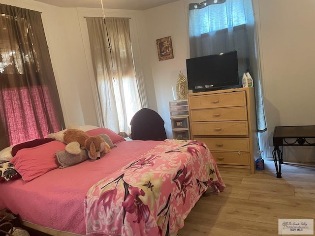 bedroom featuring wood-type flooring