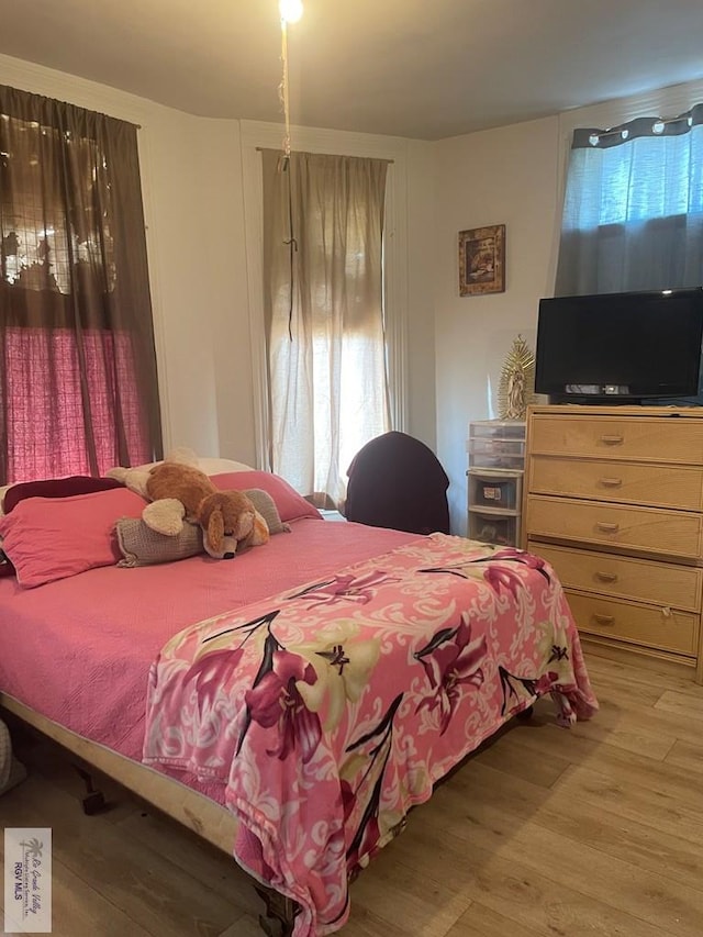 bedroom with wood-type flooring