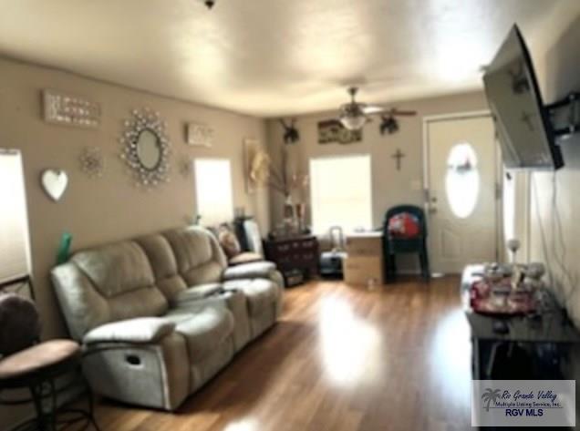 living room featuring ceiling fan and hardwood / wood-style floors