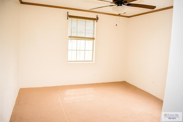34719 Los Ranchos Rd Unit 1, San Benito, TX 78586 - spare room with ceiling fan, carpet flooring, and crown molding