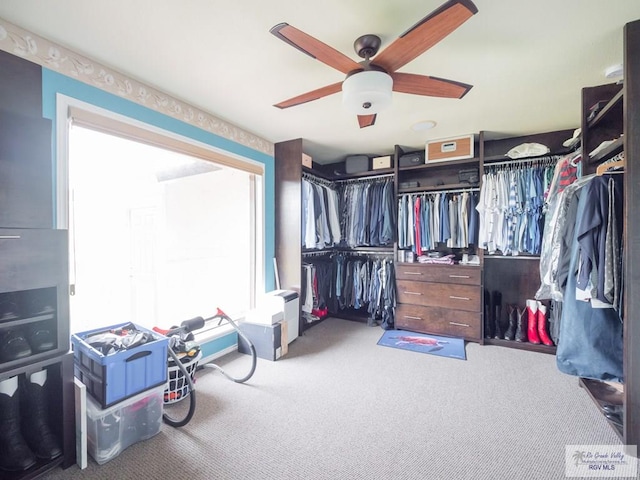 spacious closet with carpet and ceiling fan