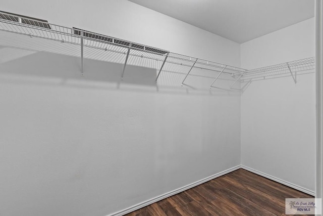 3017 Paradise Ave, Harlingen, TX 78552 - walk in closet featuring dark wood-style flooring
