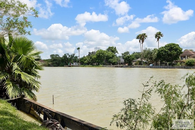 property view of water