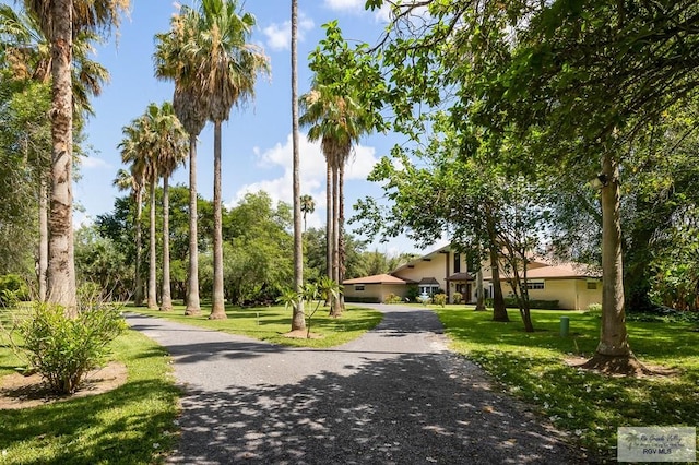 view of property's community with a yard