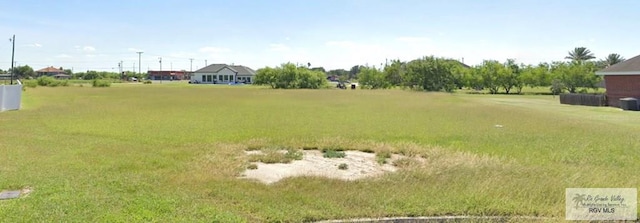 17519 S Campana Ln, Elsa, TX 78543