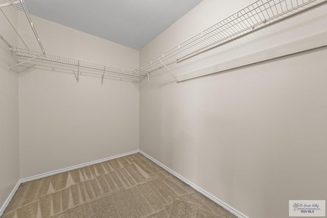 2344 Munich St, Brownsville, TX 78520 - spacious closet featuring carpet floors