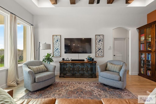 living room with ceiling fan, plenty of natural light, and hardwood / wood-style flooring