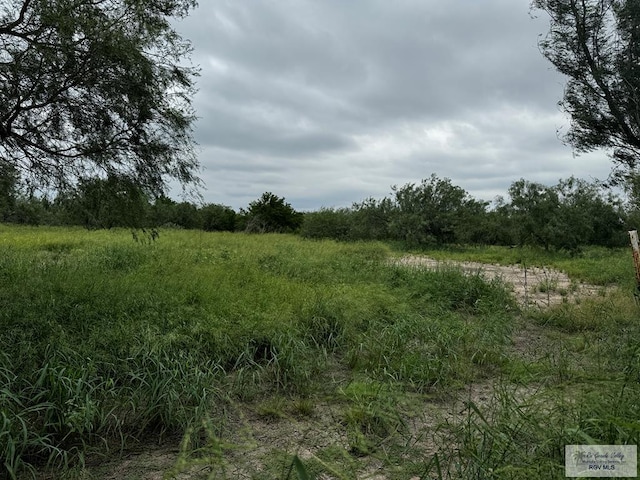 27675 County Road 233, San Benito TX, 78586 land for sale