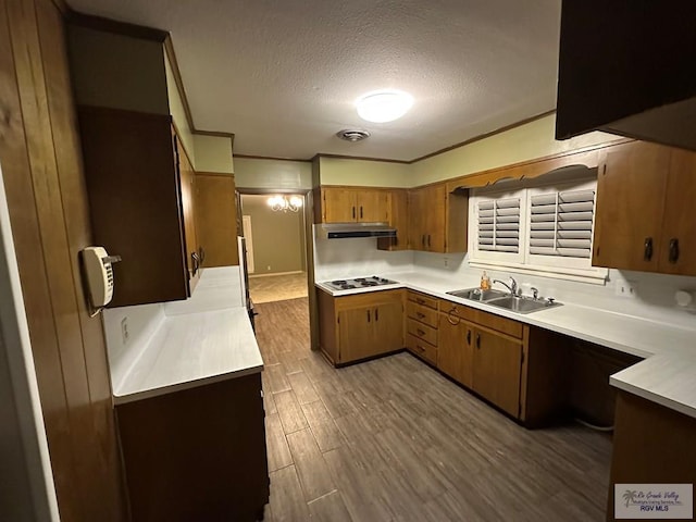 kitchen featuring sink, a textured ceiling, ornamental molding, white gas stovetop, and hardwood / wood-style flooring