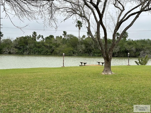 view of yard featuring a water view