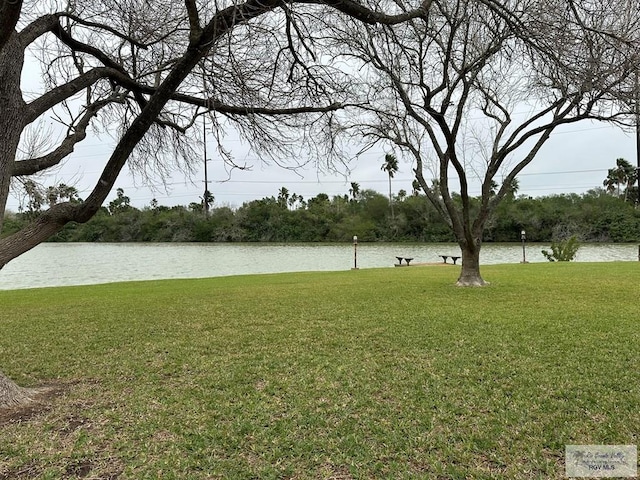 view of yard with a water view