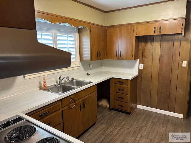 kitchen featuring crown molding, dark hardwood / wood-style flooring, sink, and stove