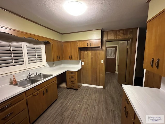 kitchen with dark hardwood / wood-style flooring, sink, a textured ceiling, and wood walls