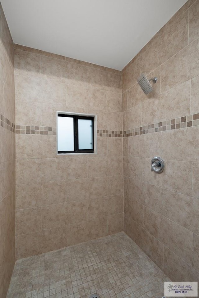 1215 Bluebonnet Dr, Brownsville, TX 78521 - full bath featuring a tile shower