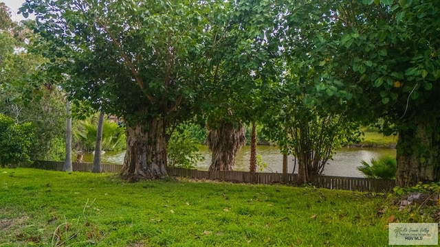 115 E Armstrong Ct, Brownsville, TX 78521 - view of yard featuring a water view