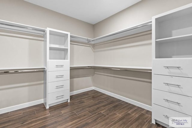 9372 Fan Palm Dr, Los Fresnos, TX 78521 - walk in closet with dark wood-style flooring