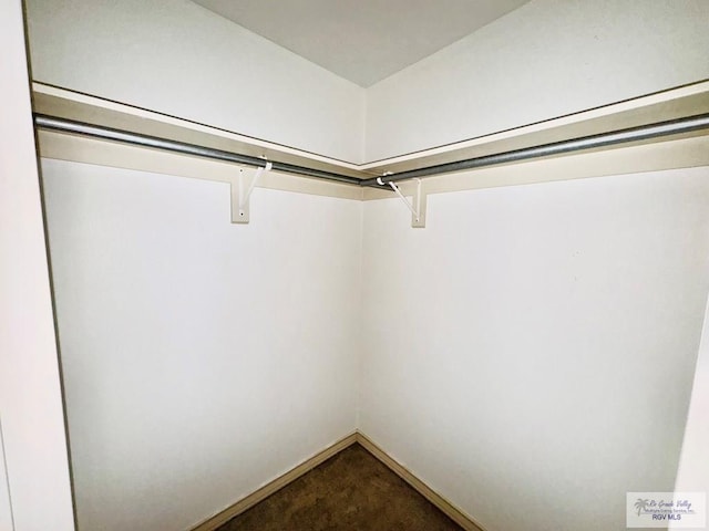 spacious closet featuring carpet floors