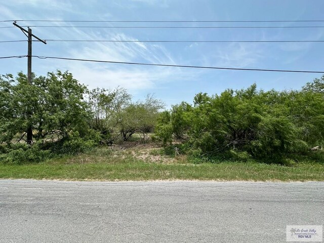 Listing photo 3 for 00 Palm Blvd, Harlingen TX 78552