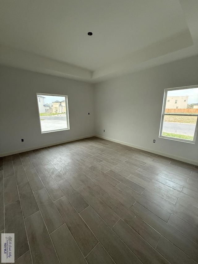 spare room featuring a wealth of natural light, a raised ceiling, dark wood finished floors, and baseboards