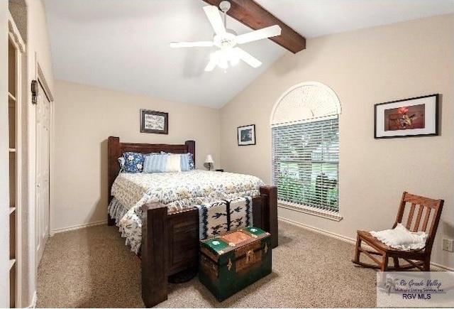 bedroom with ceiling fan, vaulted ceiling with beams, a closet, and carpet flooring