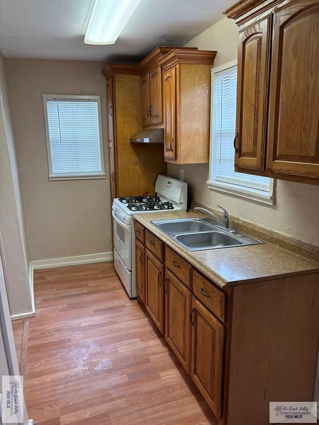 kitchen featuring a healthy amount of sunlight, a sink, under cabinet range hood, light wood-style floors, and white range with gas stovetop