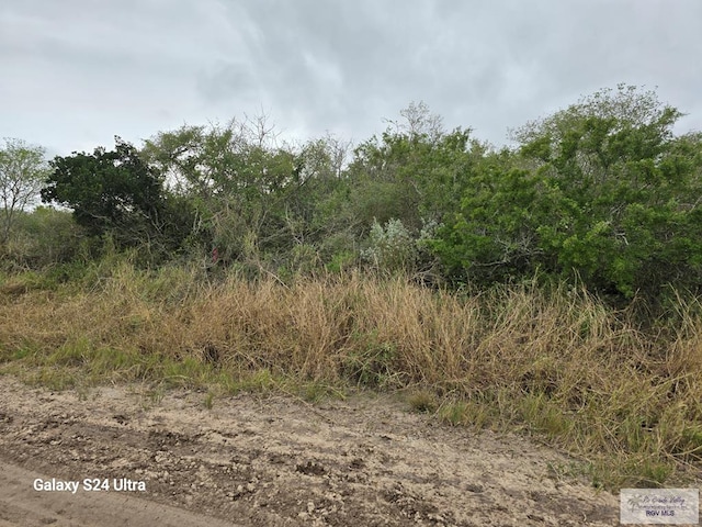 TBD Mesquite Dr, Holly Beach TX, 78578 land for sale