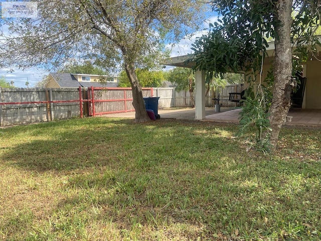 view of yard featuring a patio