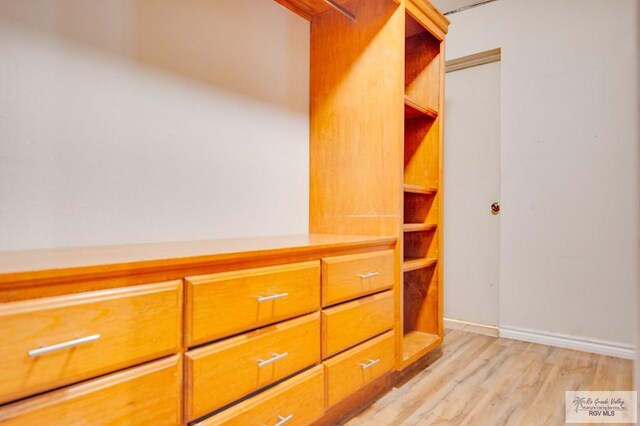 spacious closet with light wood-type flooring