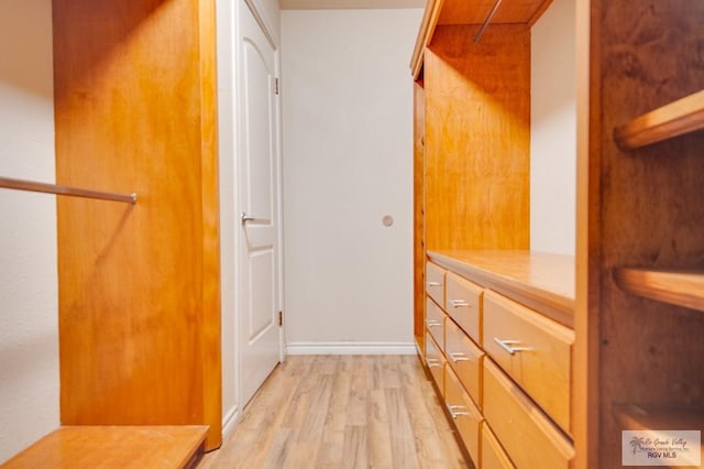 spacious closet featuring light hardwood / wood-style flooring