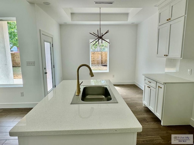 kitchen featuring a tray ceiling, dark wood finished floors, plenty of natural light, and a sink