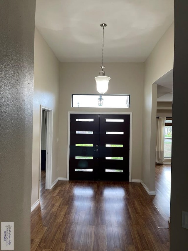 foyer entrance featuring dark wood-type flooring