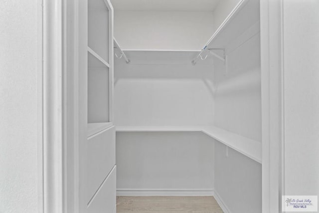 spacious closet with light wood-type flooring