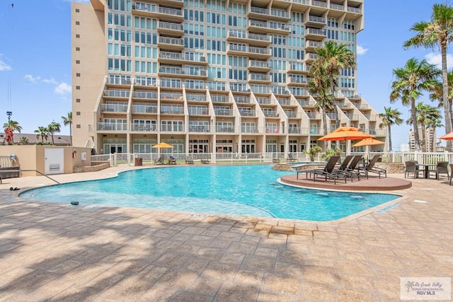 view of pool featuring a patio area