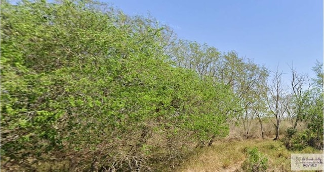 0 Centerline Rd, Bayview, TX 78566
