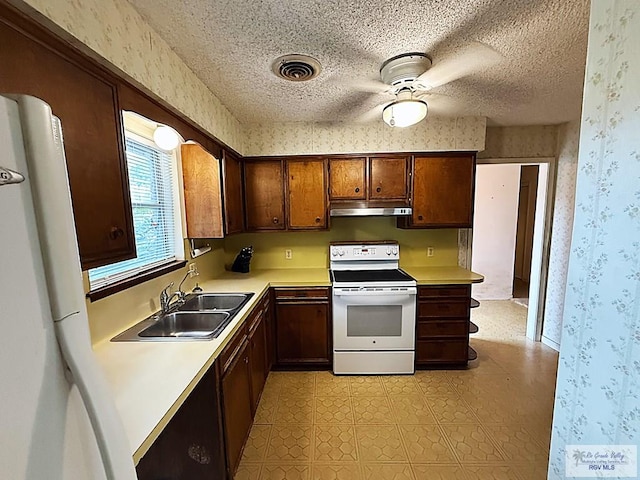 38 Palmetto Cir, Brownsville, TX 78521 - kitchen featuring white range with electric stovetop, under cabinet range hood, wallpapered walls, a sink, and light countertops
