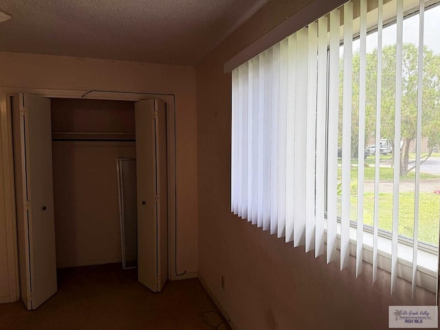 38 Palmetto Cir, Brownsville, TX 78521 - unfurnished bedroom featuring multiple windows, a closet, baseboards, and carpet flooring