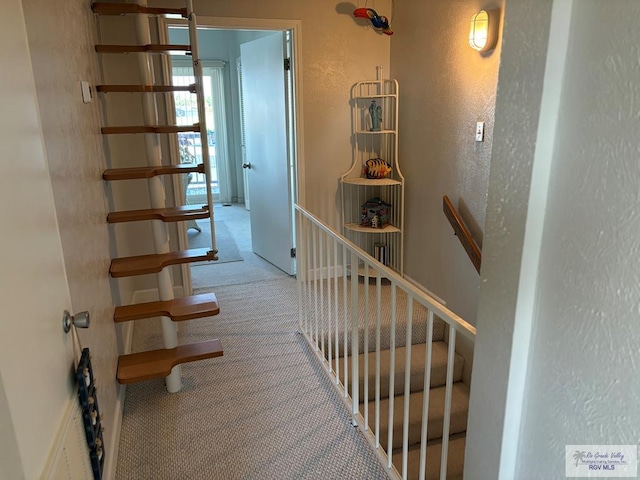 stairway featuring carpet floors