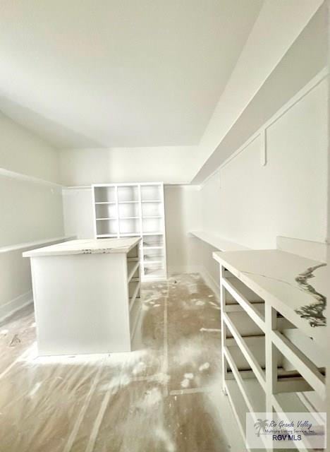 spacious closet featuring light wood finished floors