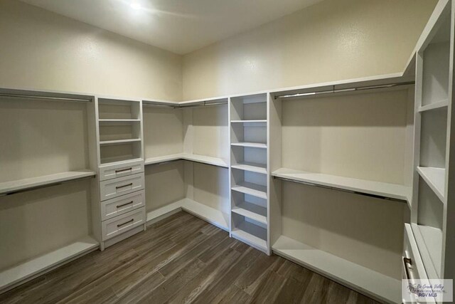 walk in closet featuring dark hardwood / wood-style floors