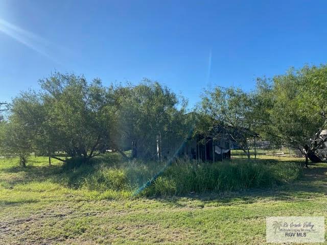 00 10th Street 12,13&14, San Perlita, TX 78590 - photo 8