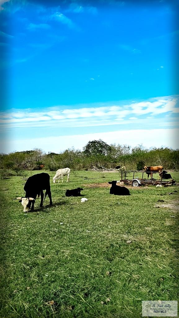 view of home's community with a rural view