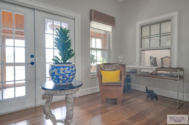 sitting room featuring dark hardwood / wood-style flooring and french doors