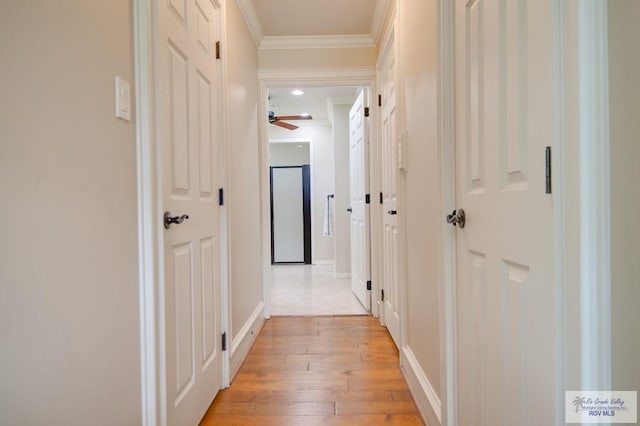 hallway with crown molding and light hardwood / wood-style flooring