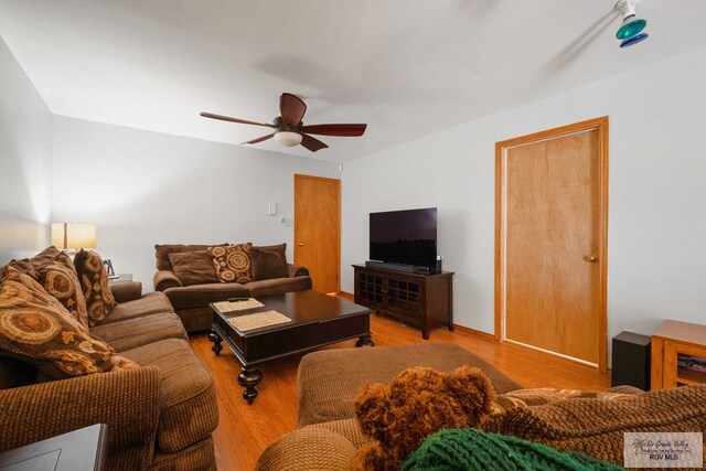 1675 Chipinque Dr, Brownsville, TX 78526 - living area with wood finished floors and a ceiling fan