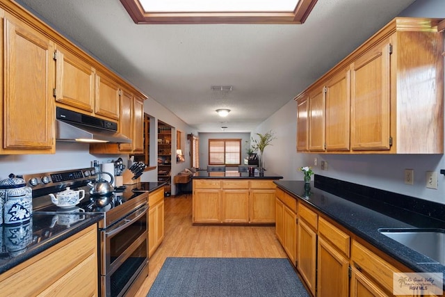 1675 Chipinque Dr, Brownsville, TX 78526 - kitchen featuring double oven range, under cabinet range hood, light wood-style floors, and a sink